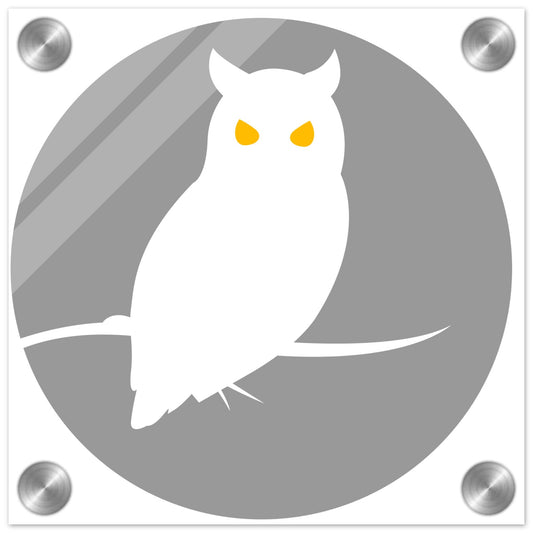 yellow eye owl - Acrylic Print
